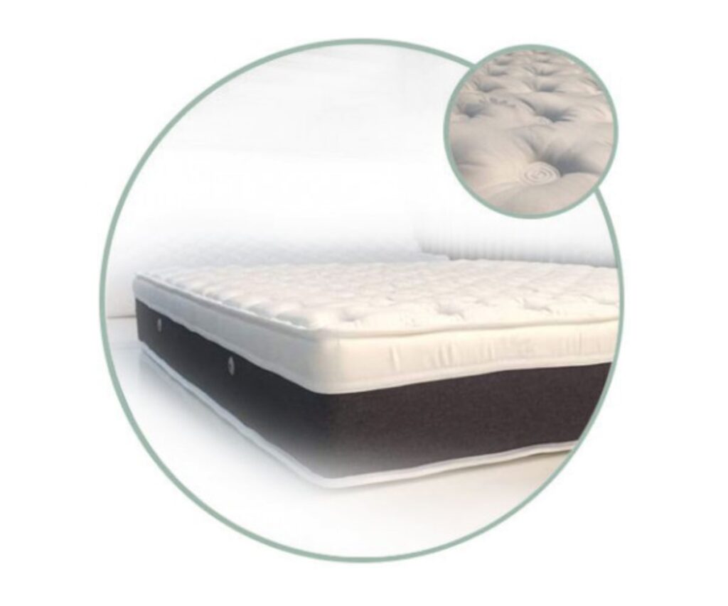 Read more about the article OLIVE OIL AIRFOAM LATEX